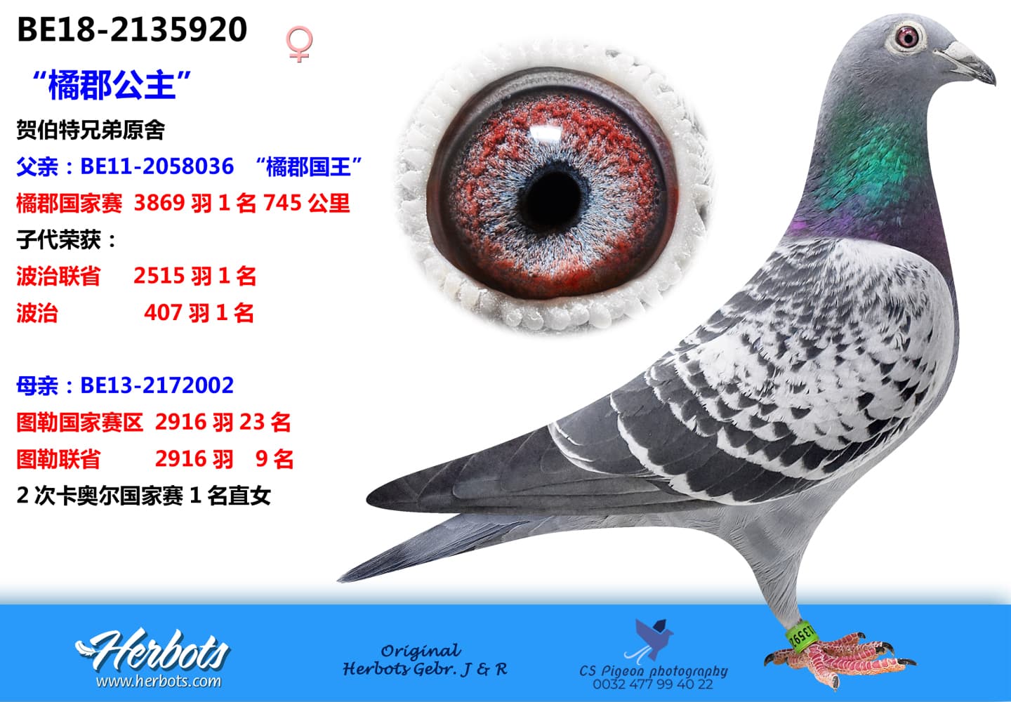 pigeon: “橘郡公主”