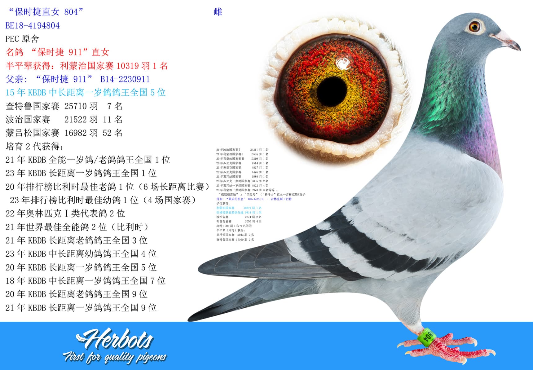pigeon: undefined