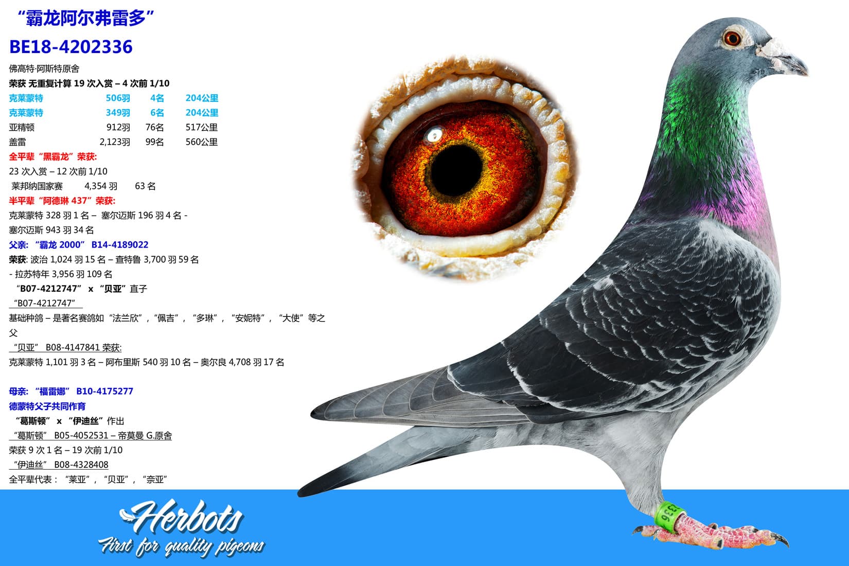pigeon: undefined