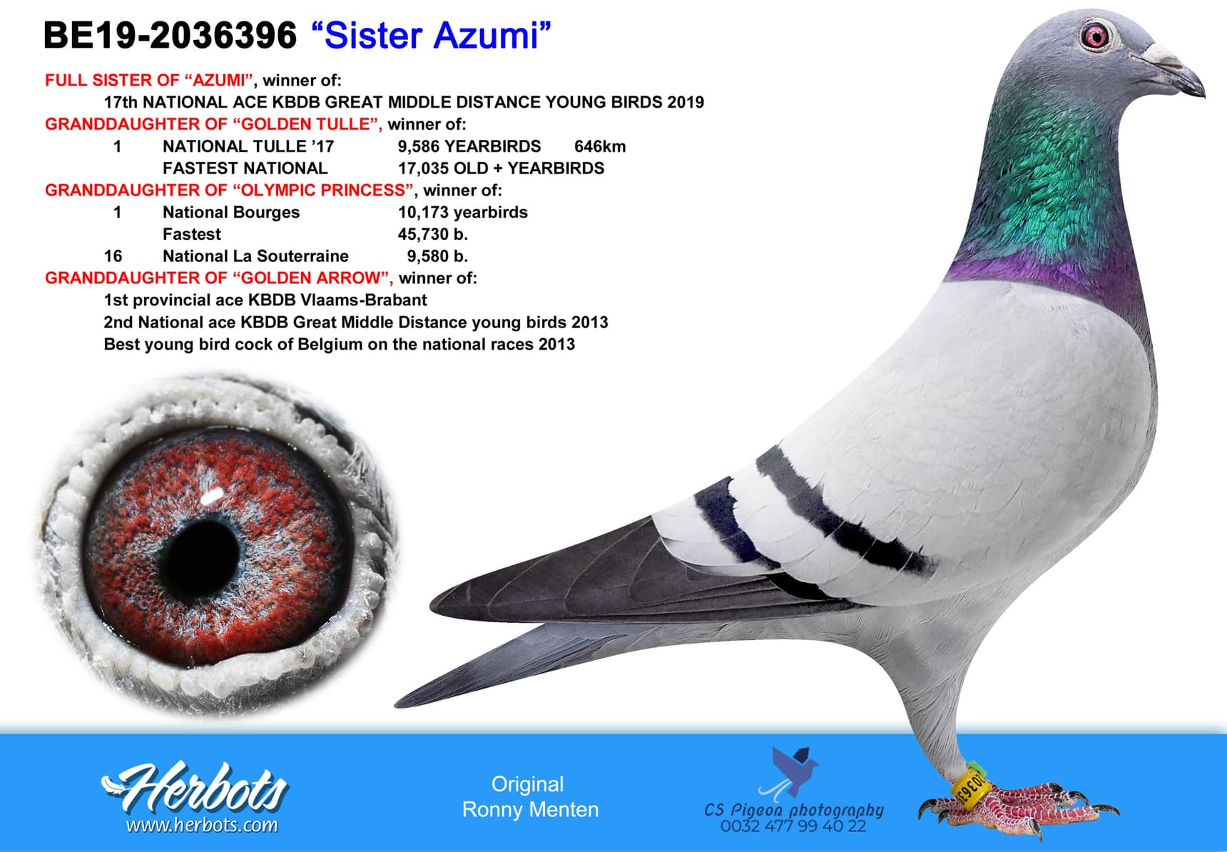 pigeon: “Sister Azumi”