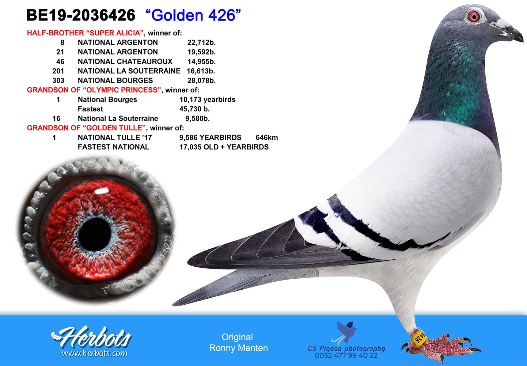 pigeon: undefined