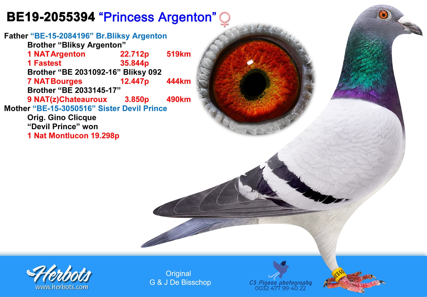 pigeon: undefined
