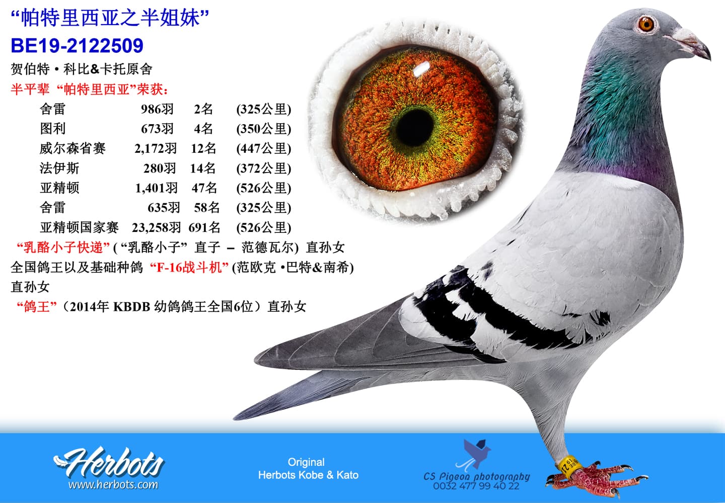 pigeon: “帕特里西亚之半姐妹”