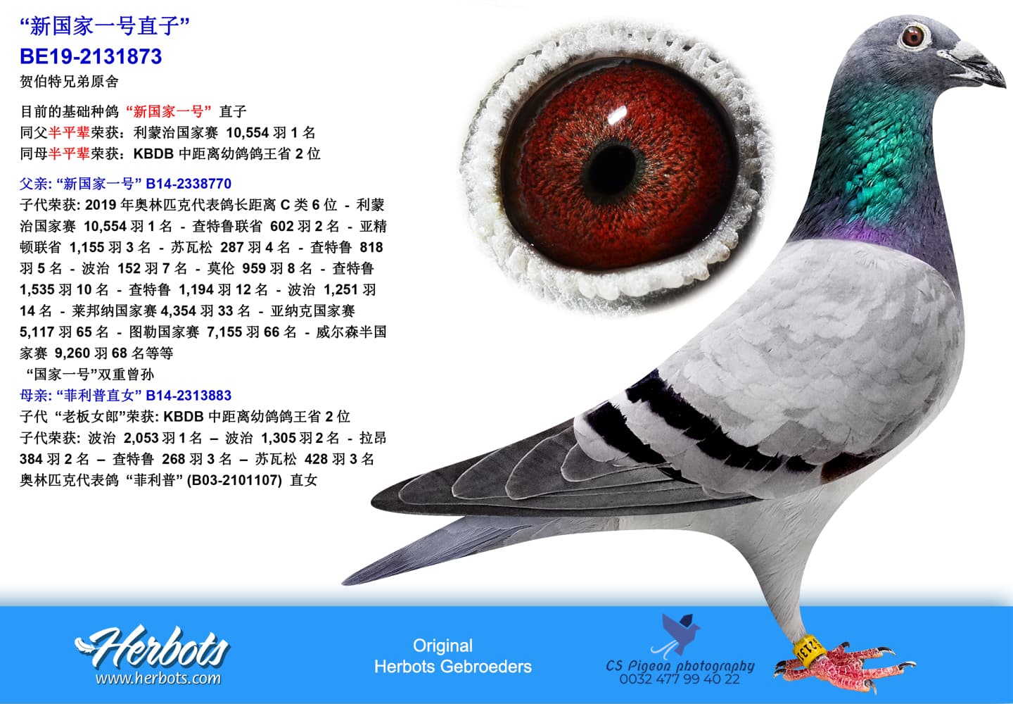 pigeon: “新国家一号直子”