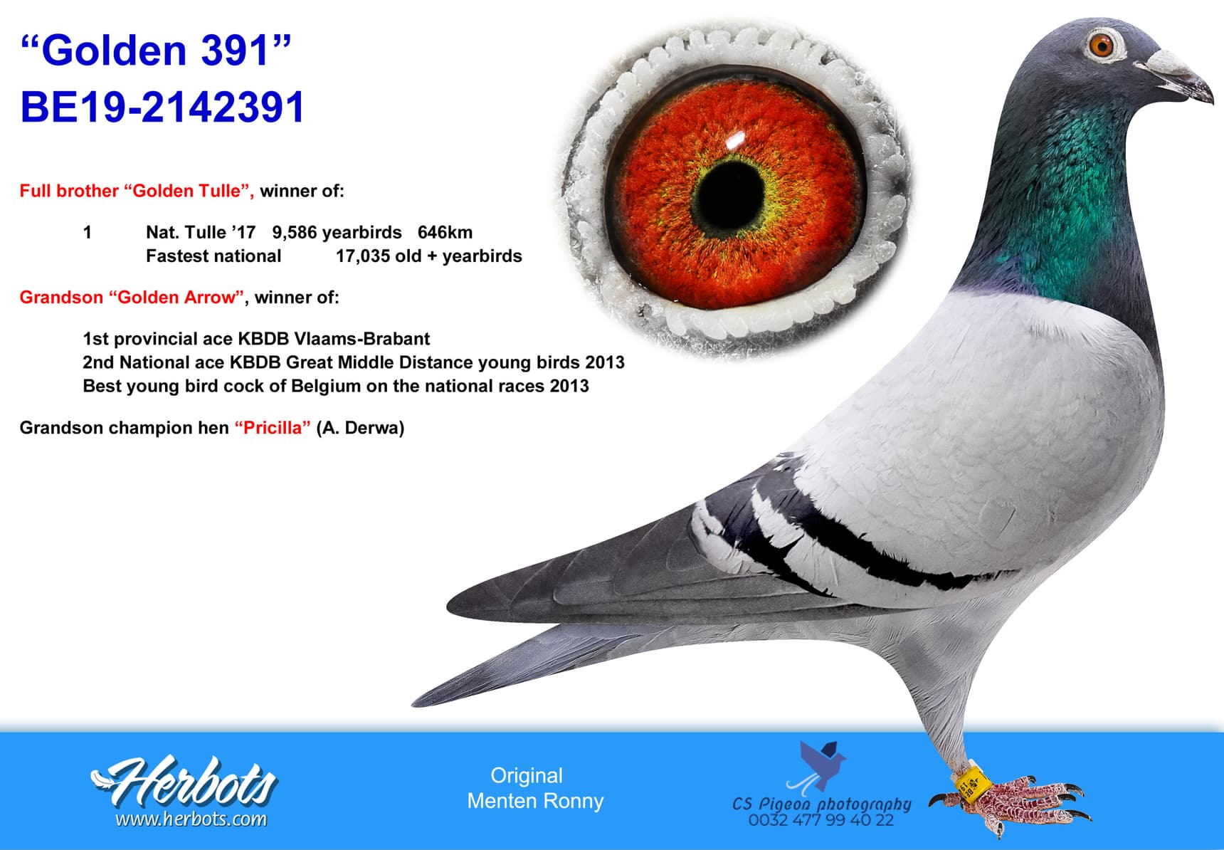 pigeon: undefined