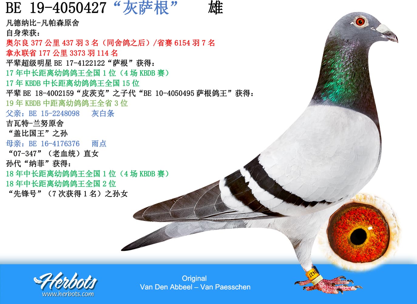 pigeon: undefined