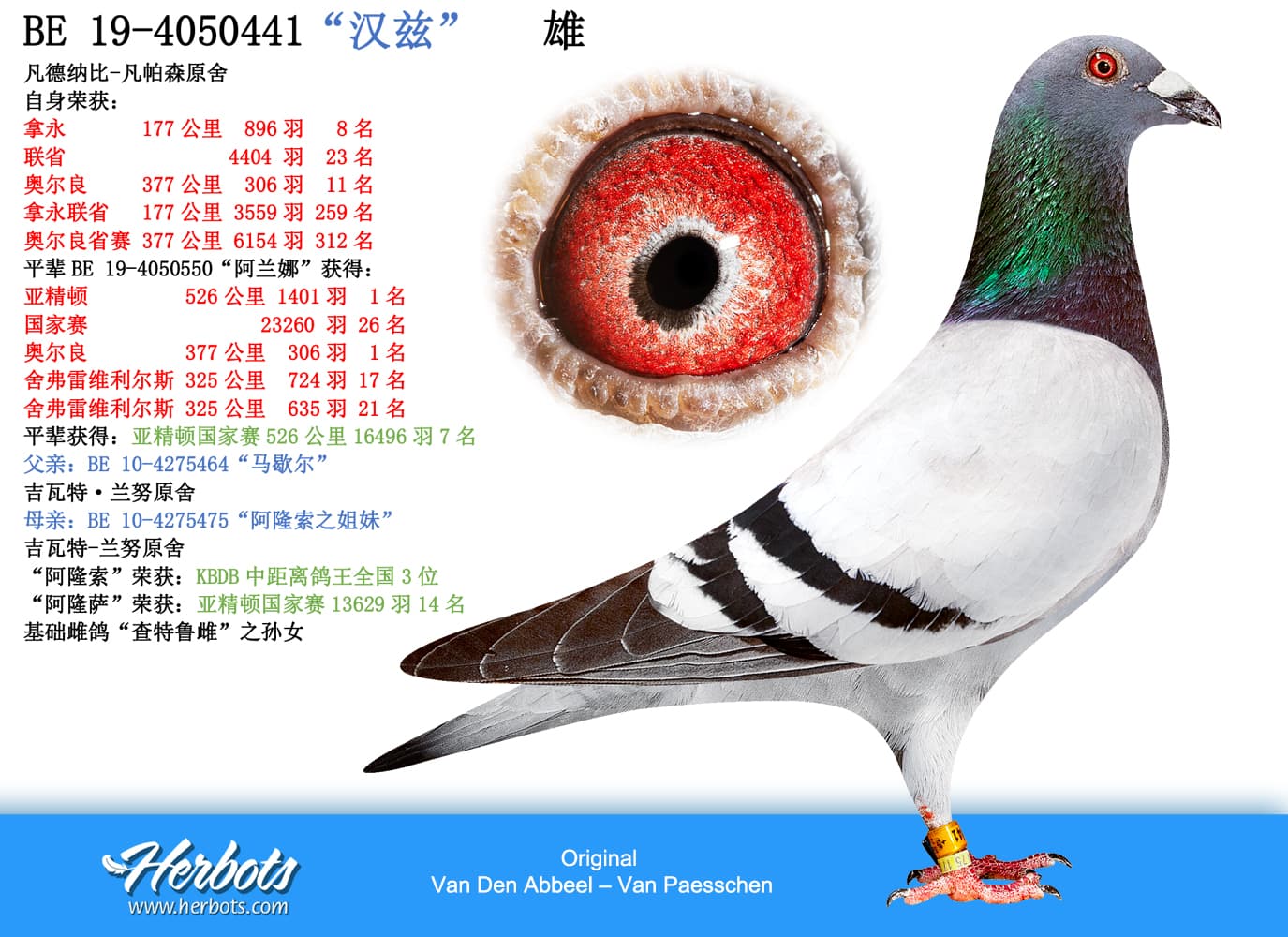 pigeon: undefined