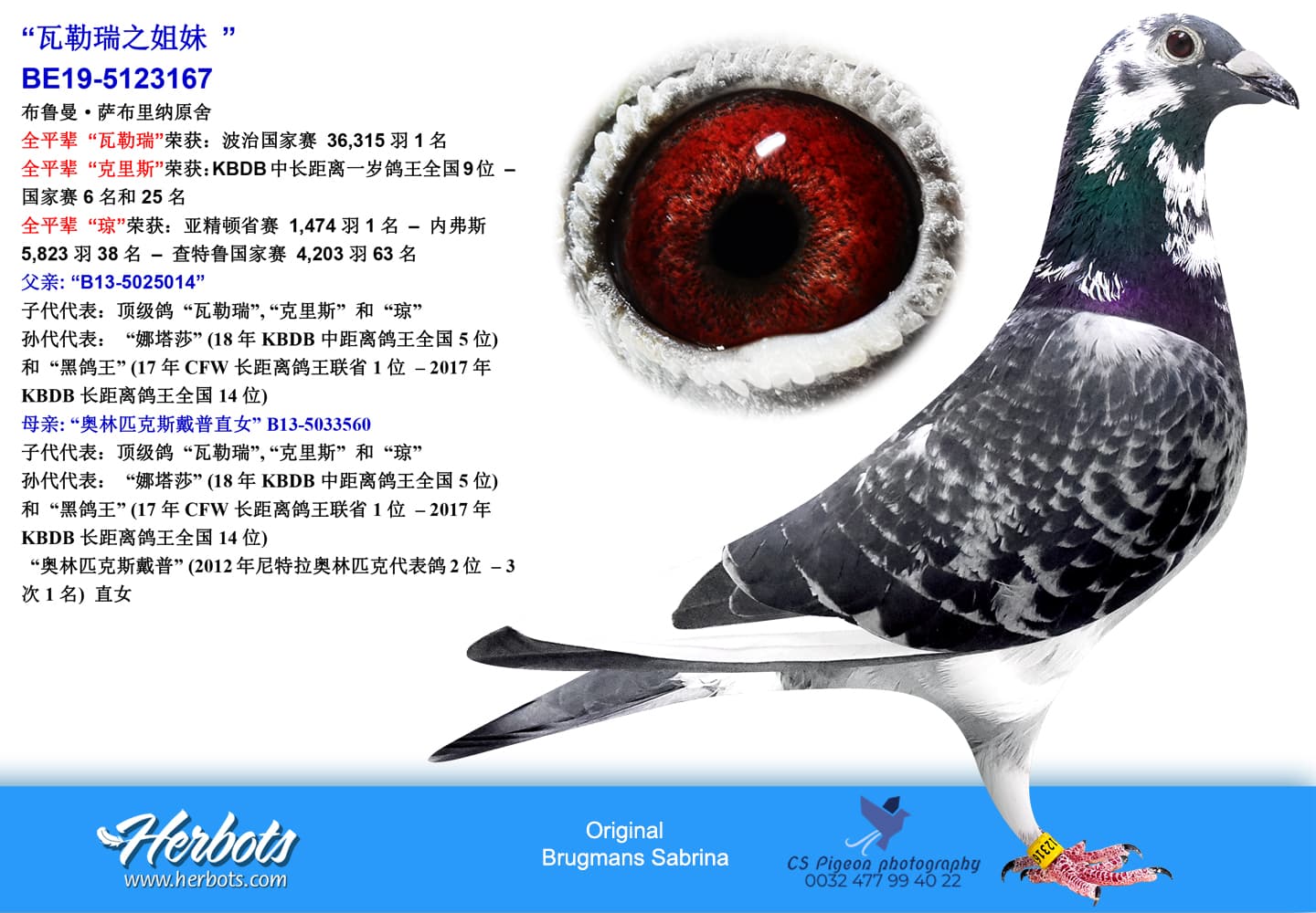 pigeon: “瓦勒瑞之姐妹 ”