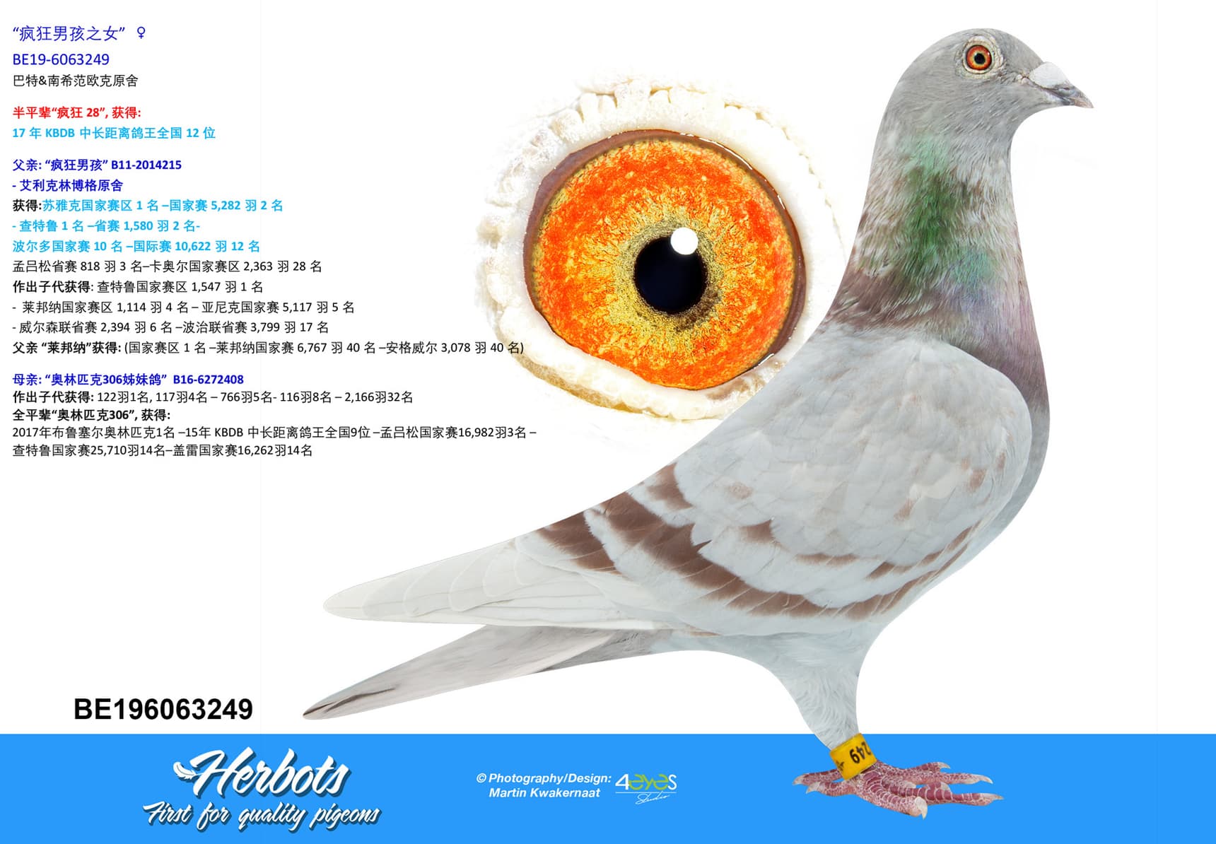 pigeon: “疯狂男孩之女”