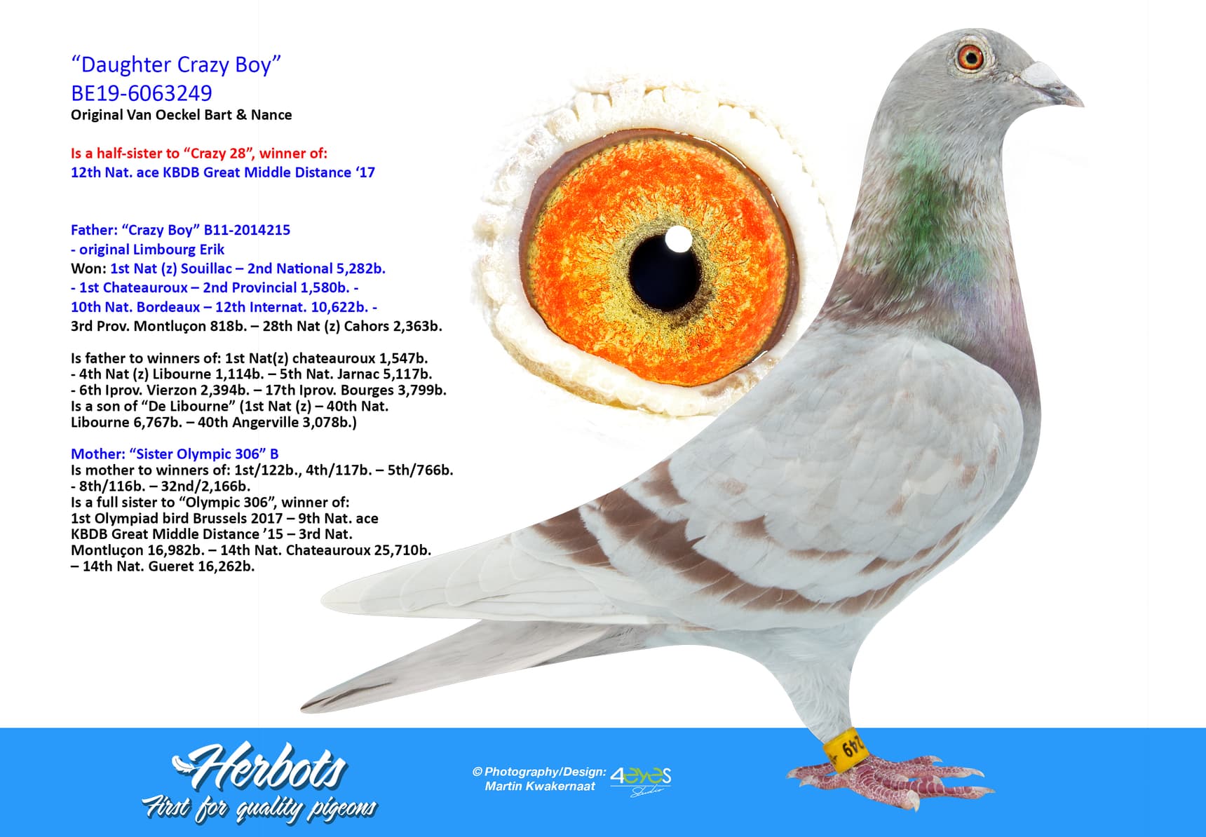 pigeon: “Daughter Crazy Boy”