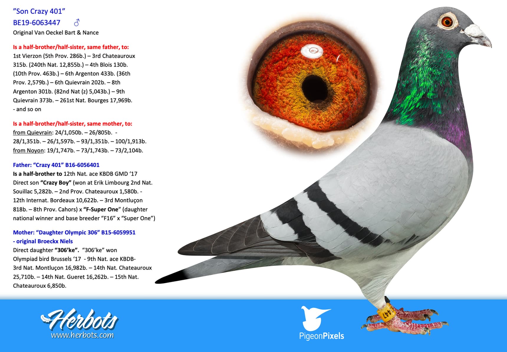 pigeon: undefined
