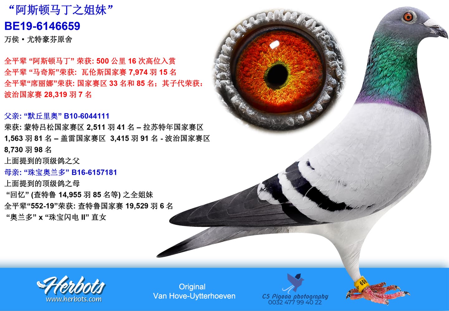 pigeon: “阿斯顿马丁之姐妹”