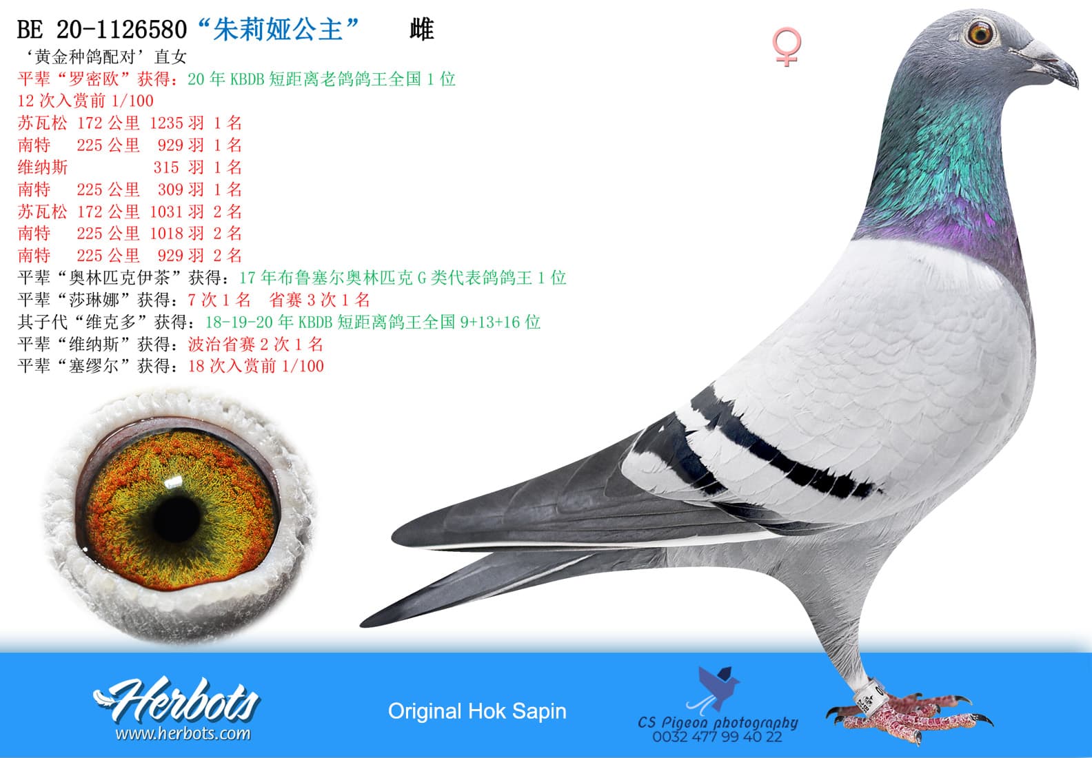 pigeon: “朱莉娅公主”
