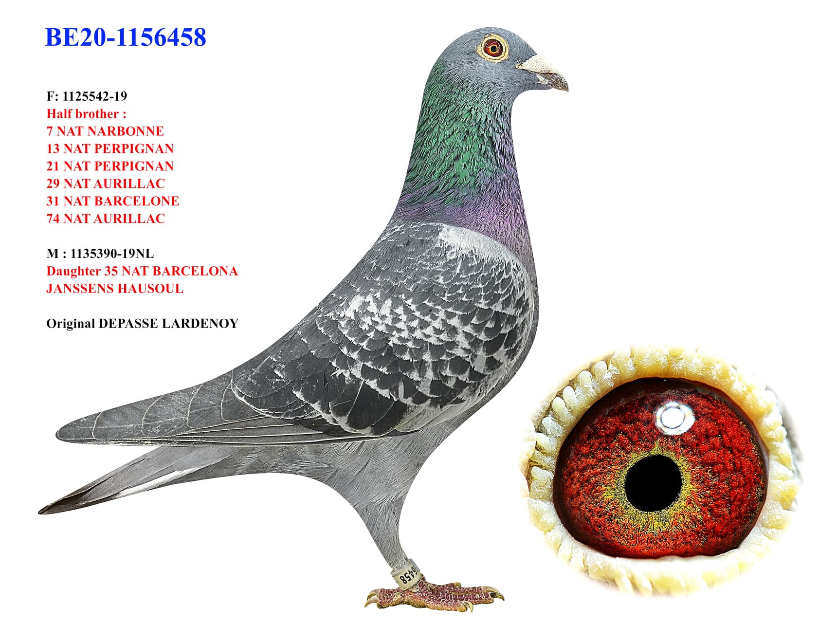 "Daughter 35 Nat Barcelona"