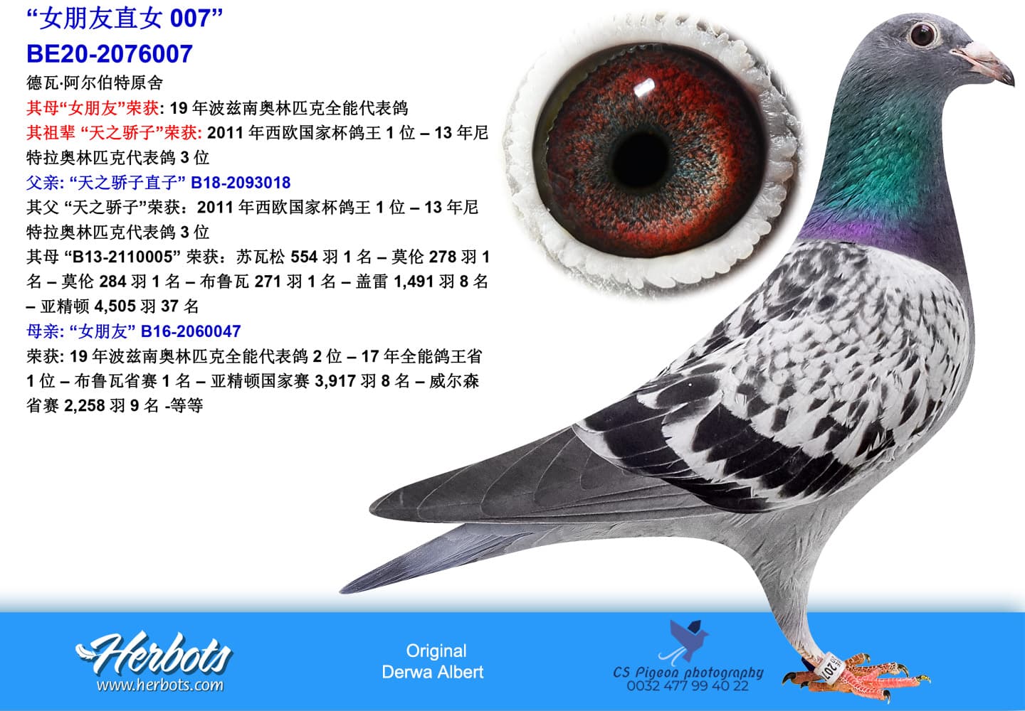 pigeon: “女朋友直子007”