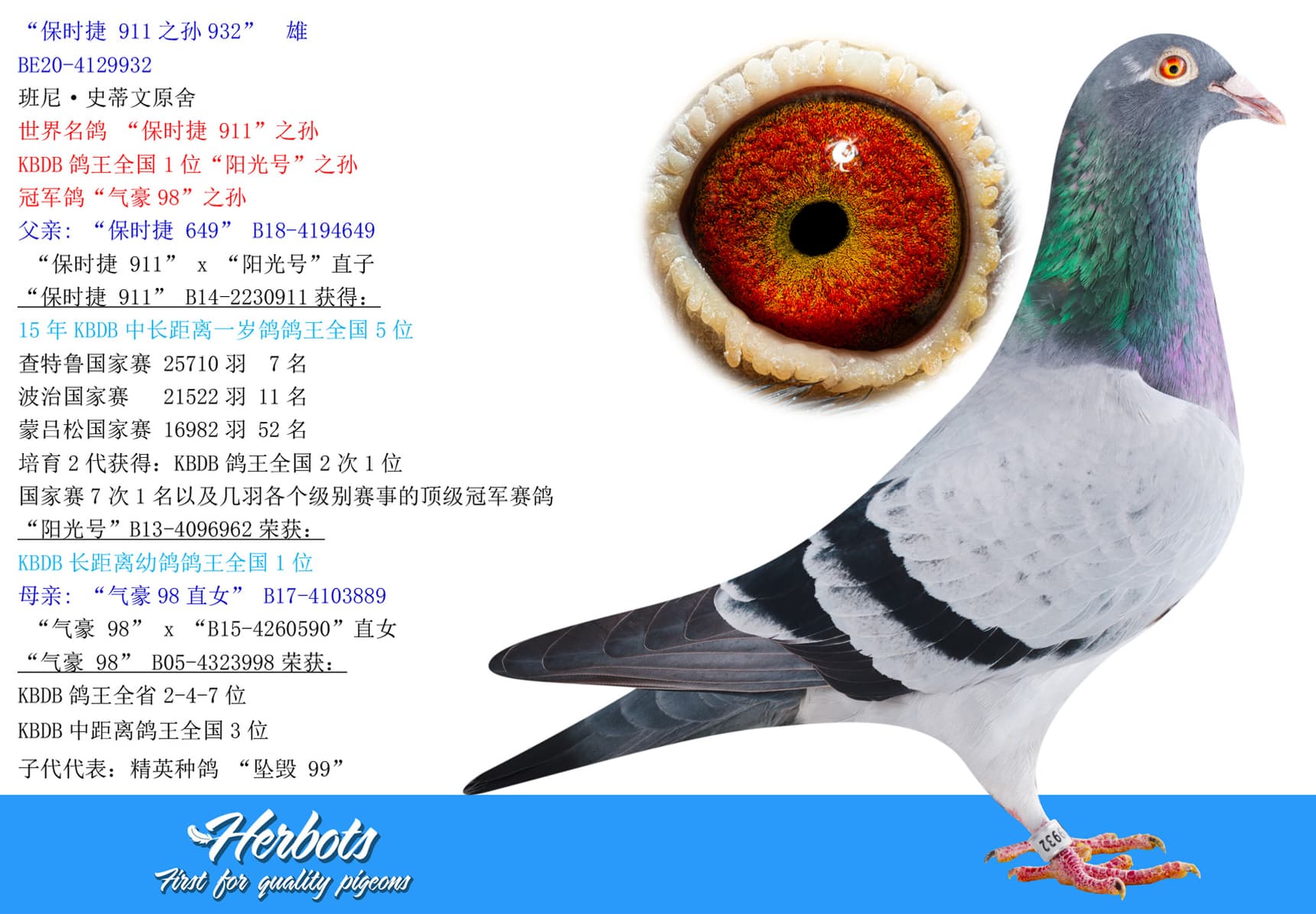 pigeon: “保时捷 911之孙932”