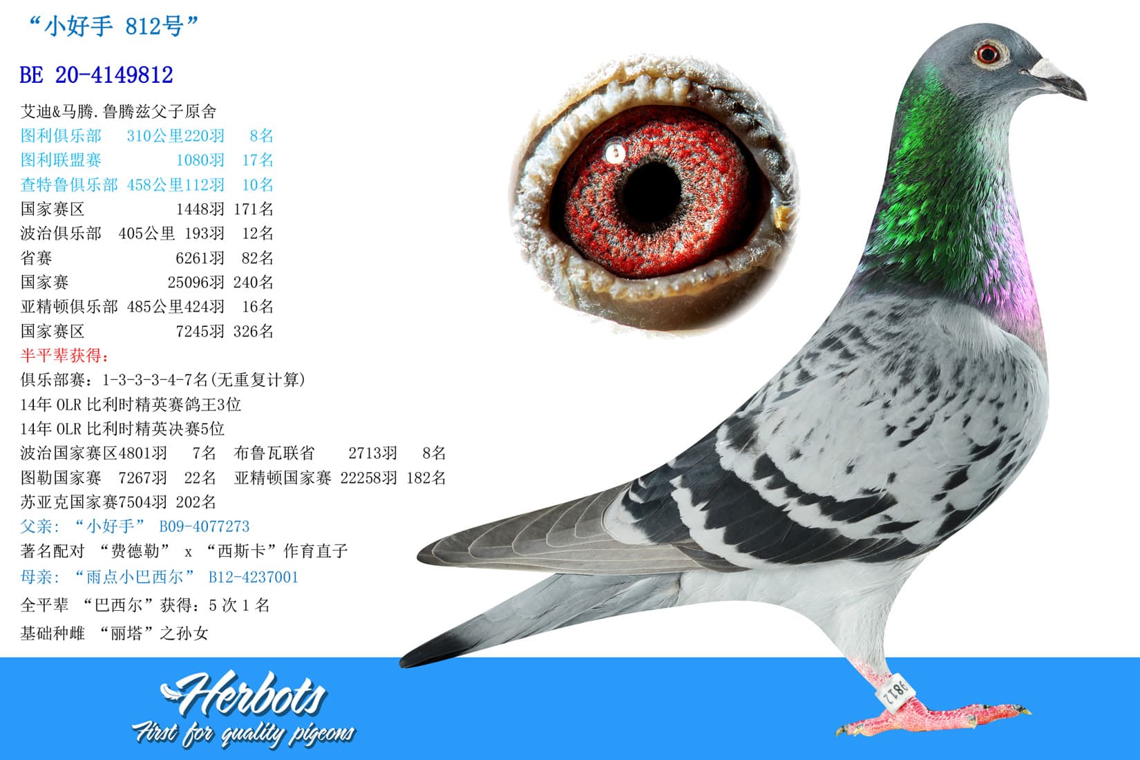 pigeon: undefined