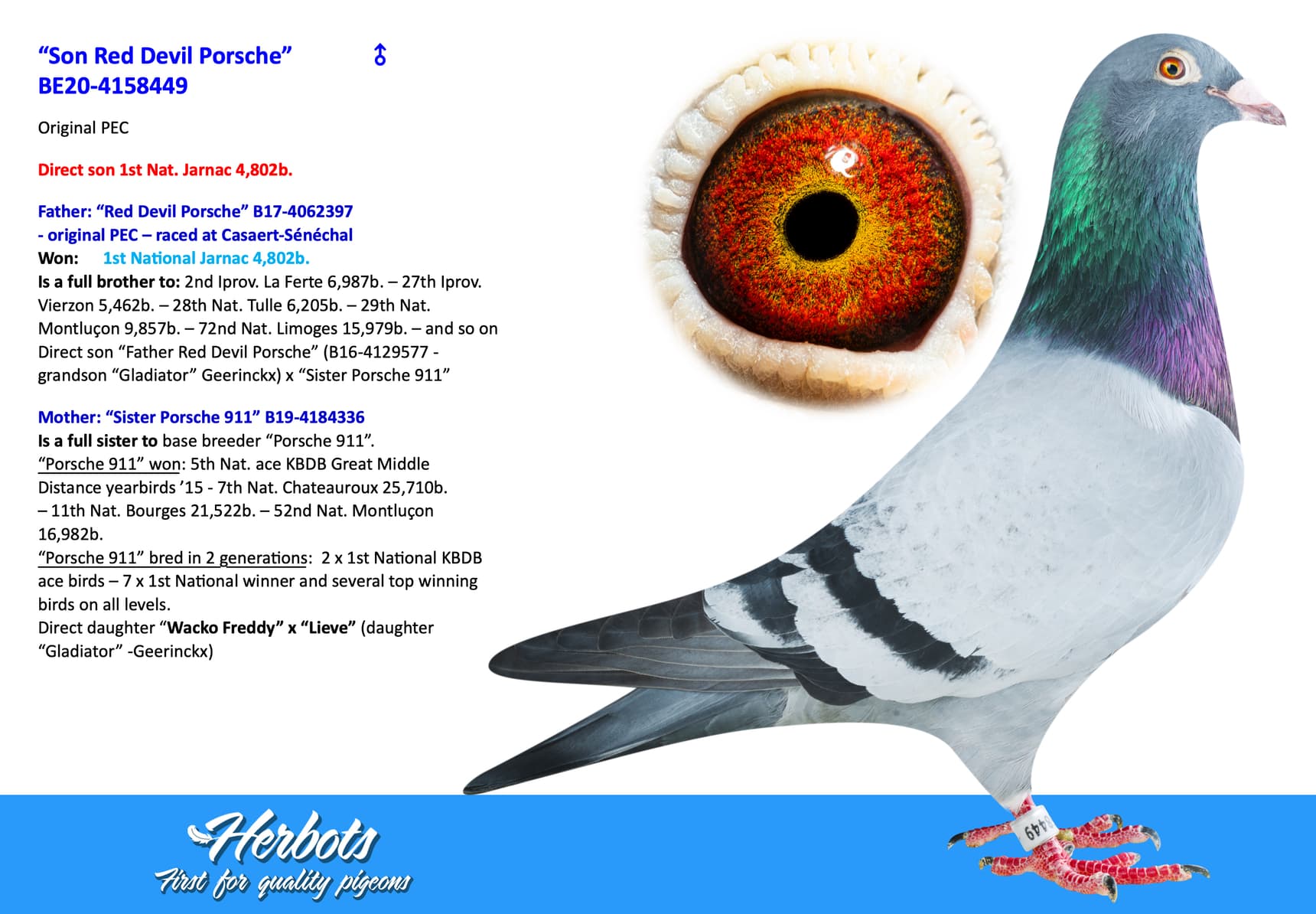 pigeon: “Son Red Devil Porsche”