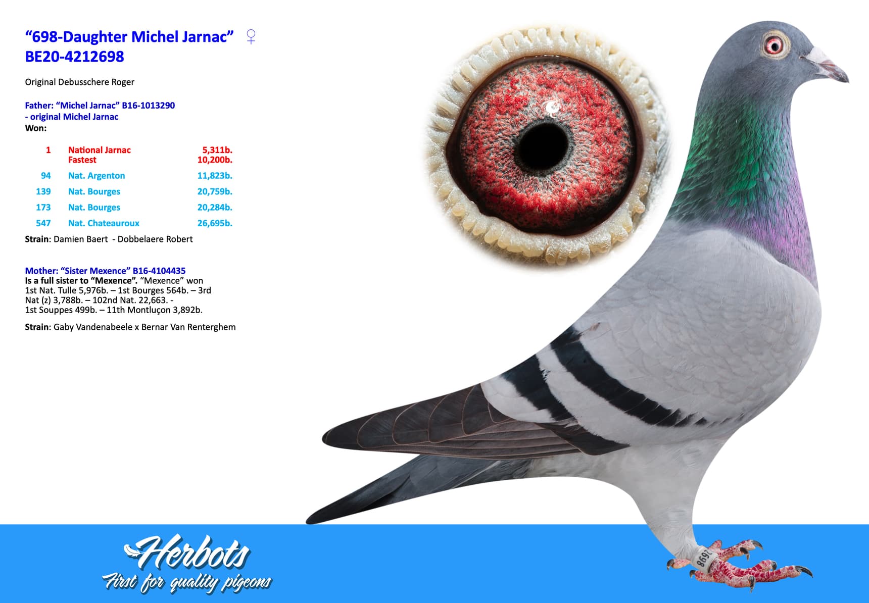 pigeon: undefined