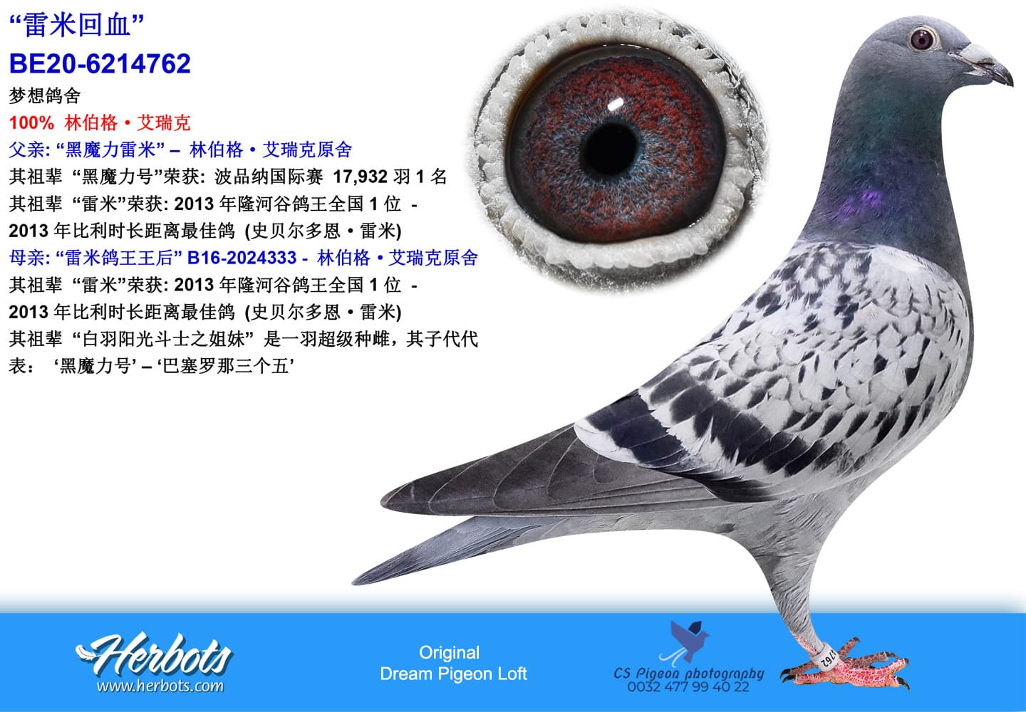 pigeon: “雷米回血”