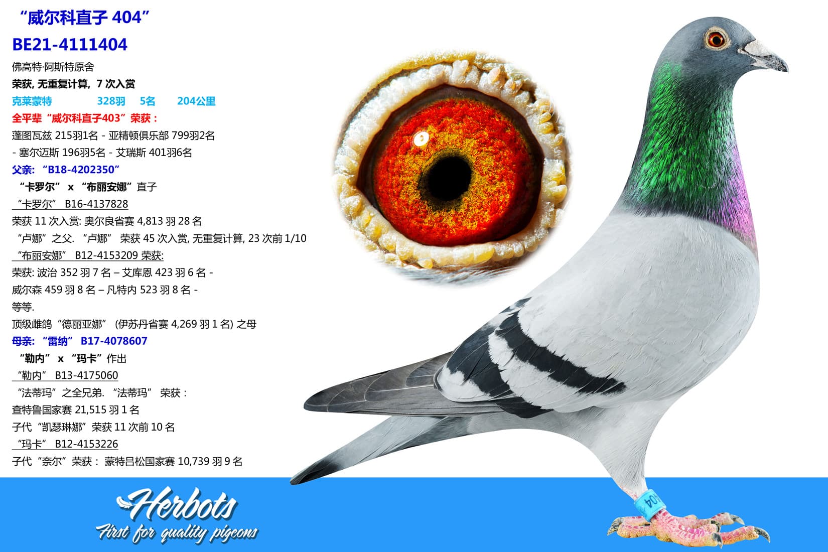 pigeon: undefined