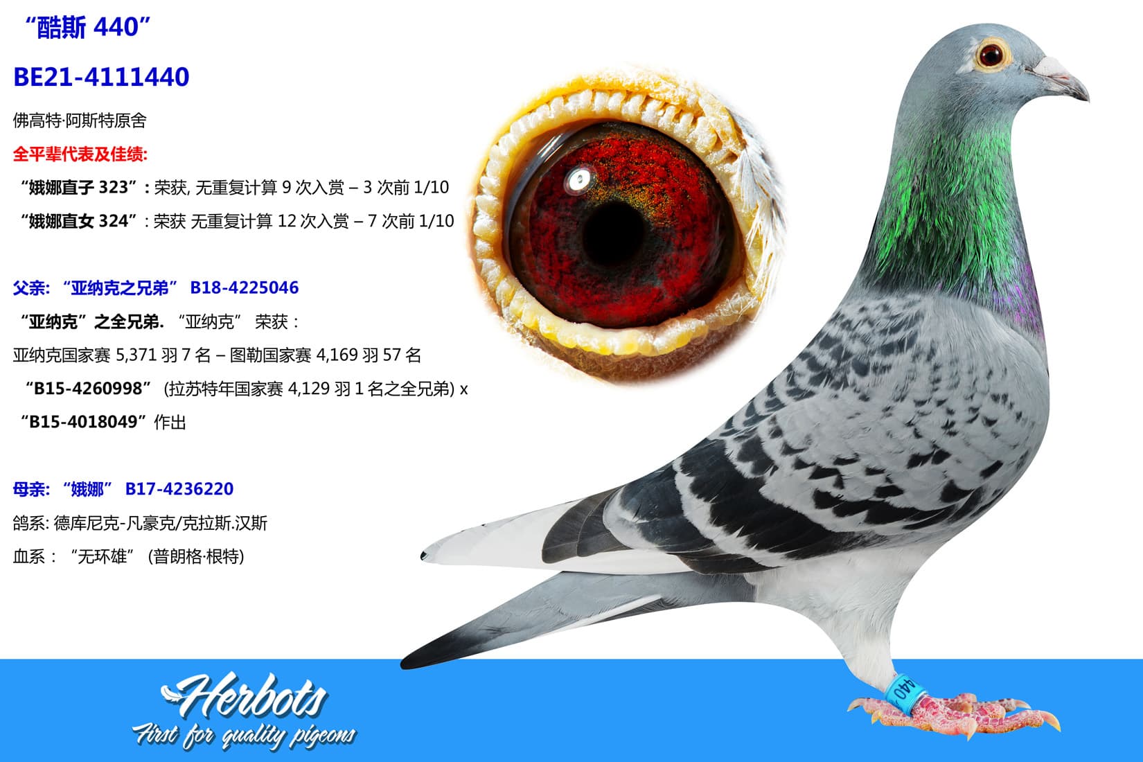 pigeon: undefined