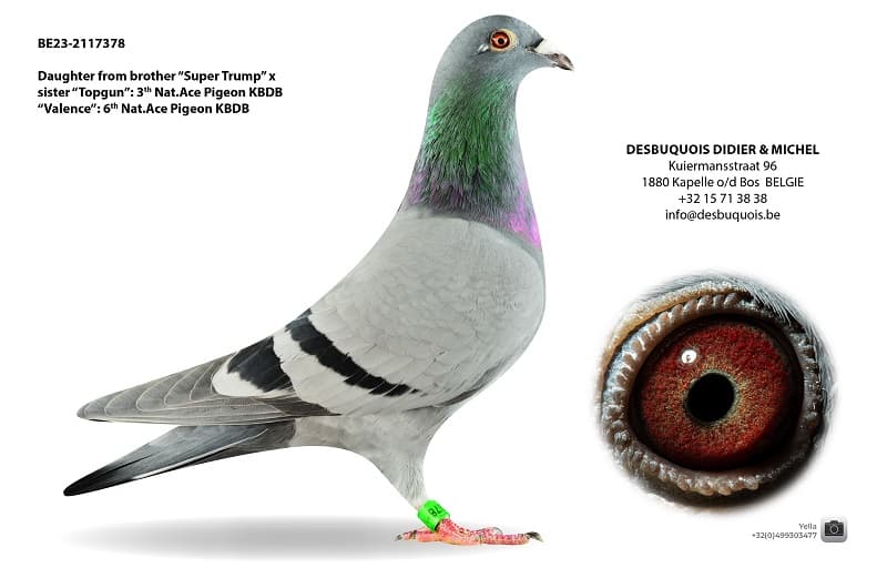 Daughter brother "Super Trump"