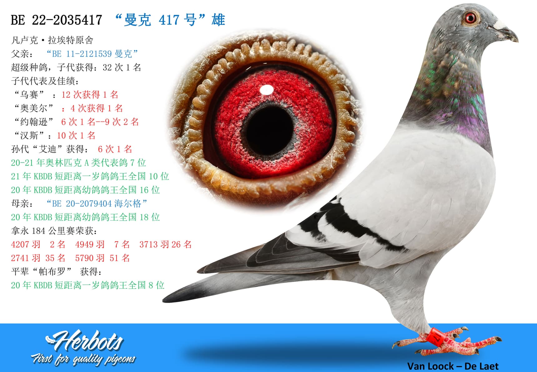pigeon: undefined