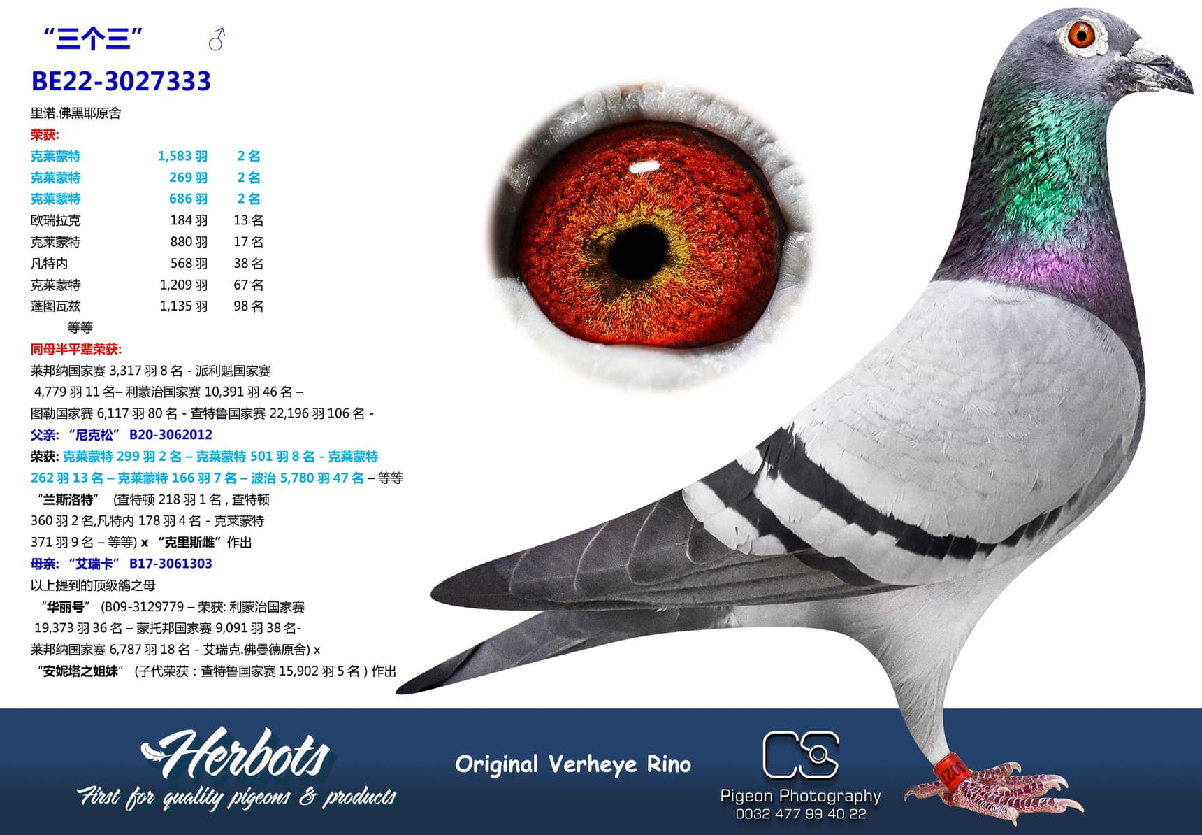 pigeon: undefined