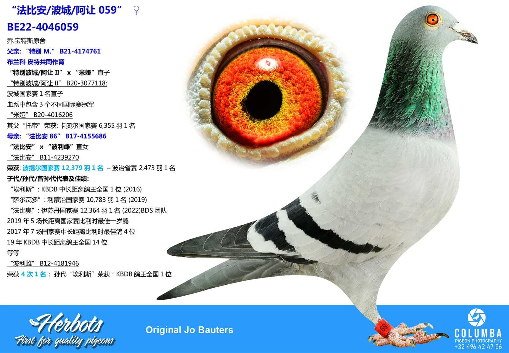pigeon: undefined