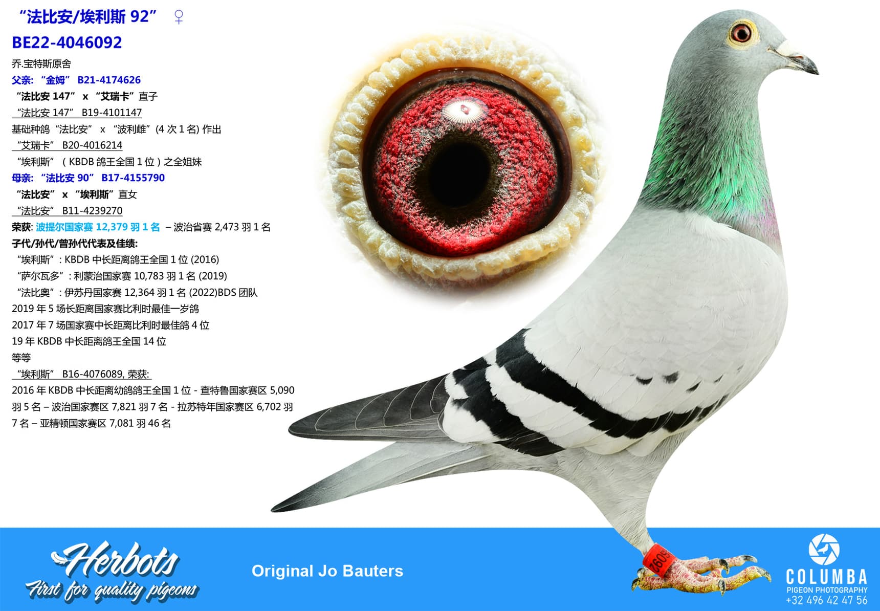 pigeon: undefined