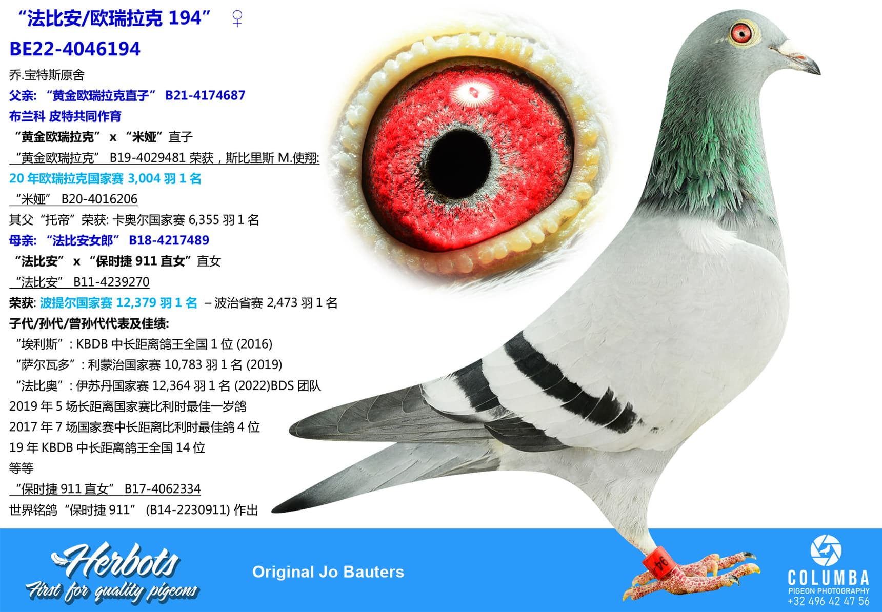 pigeon: undefined