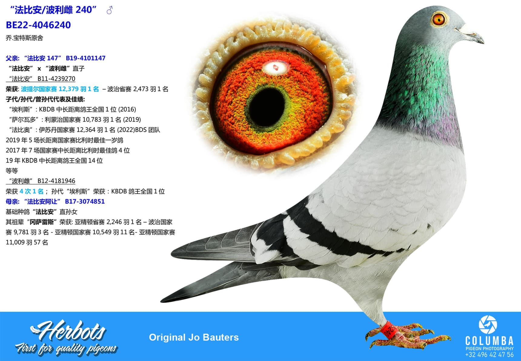 pigeon: undefined