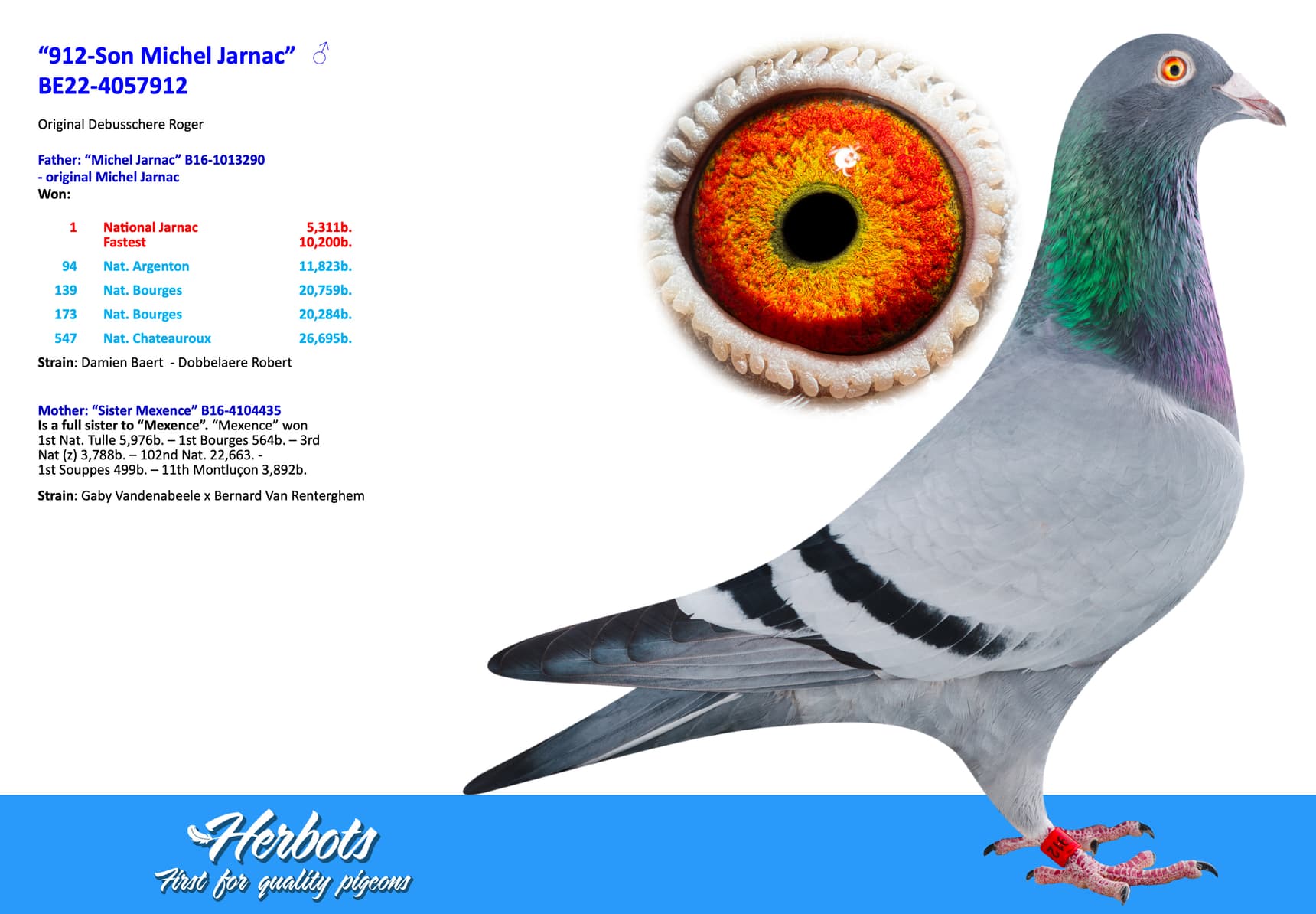 pigeon: undefined