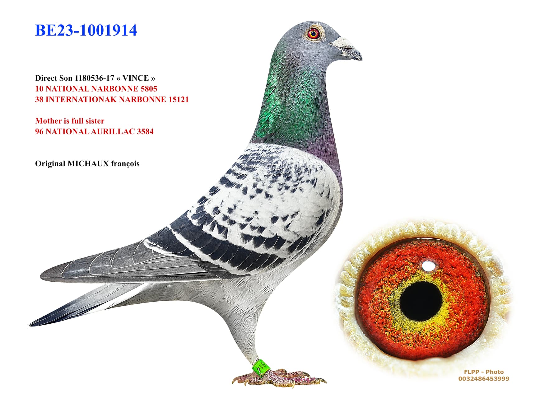 Direct Son 1180536-17 «VINCE»