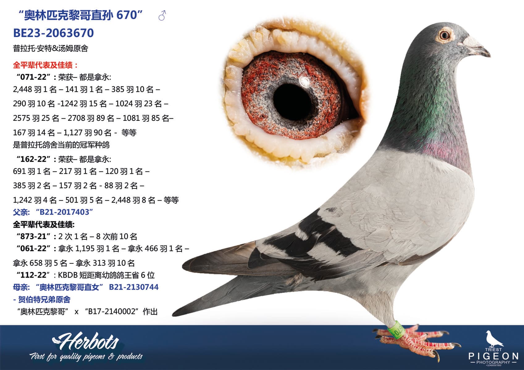 “奥林匹克黎哥直孙670”