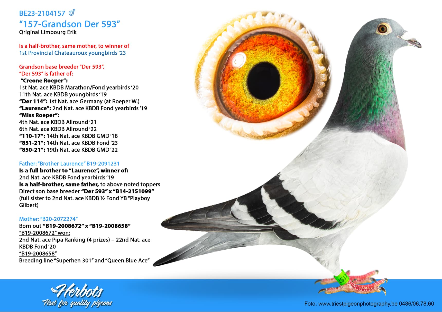 157-Grandson Der 593” - BE-23-2104157