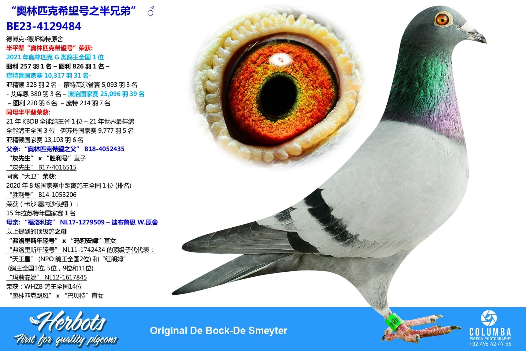pigeon: undefined