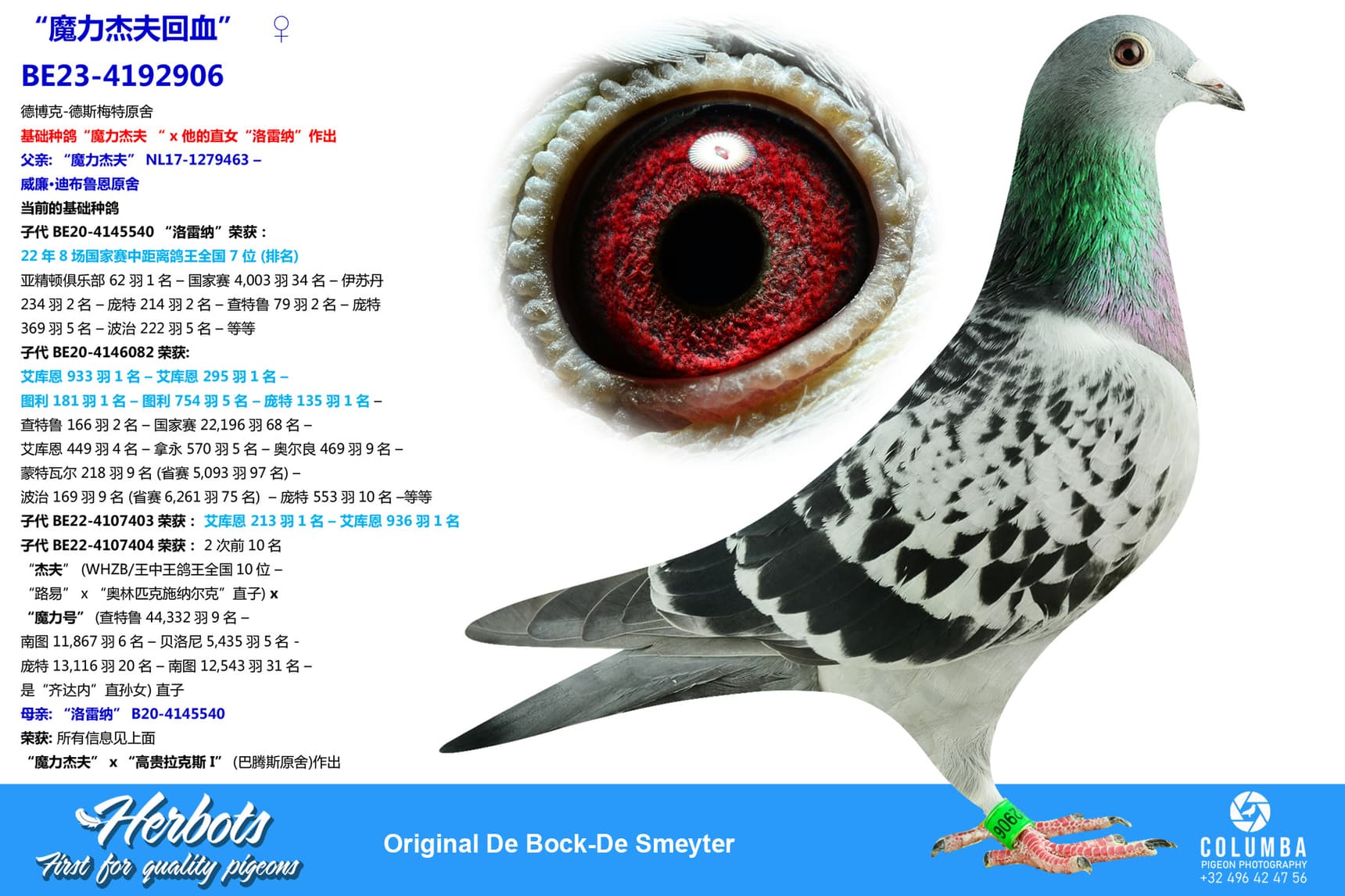 pigeon: “魔力杰夫回血”