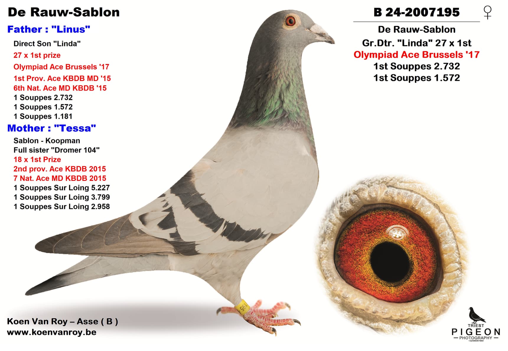 De Rauw-Sablon  Gr.Dtr. "Linda" 27 x 1st