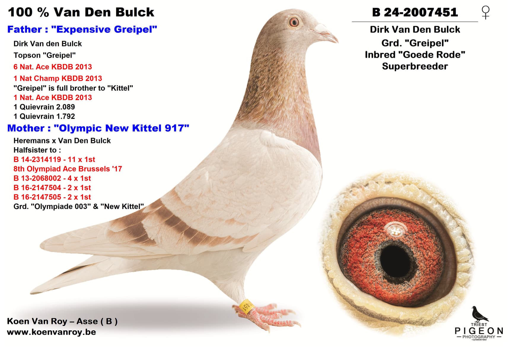 Dirk Van Den Bulck  Grd. "Greipel"