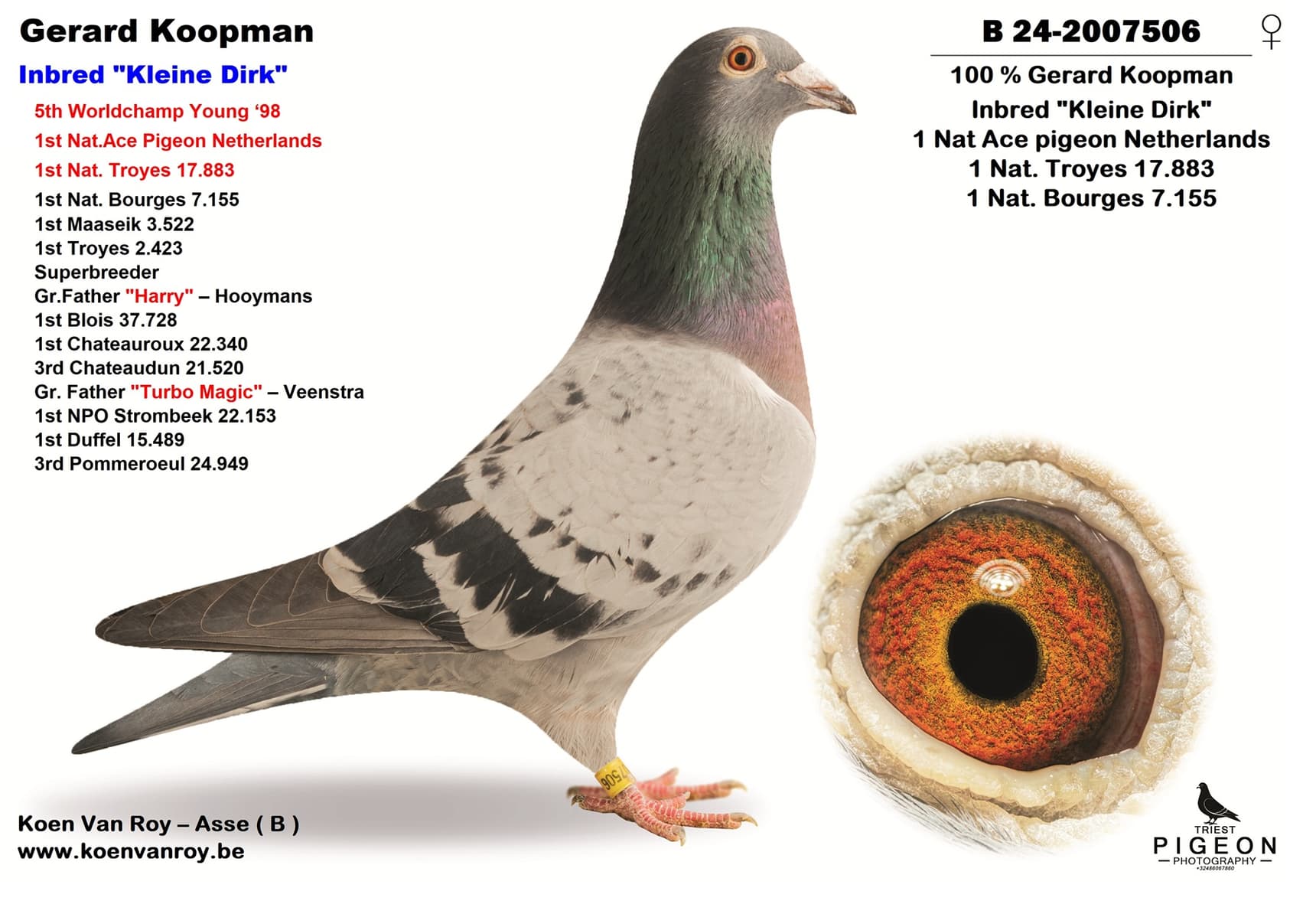 Gerard Koopman  Inbred "Kleine Dirk"