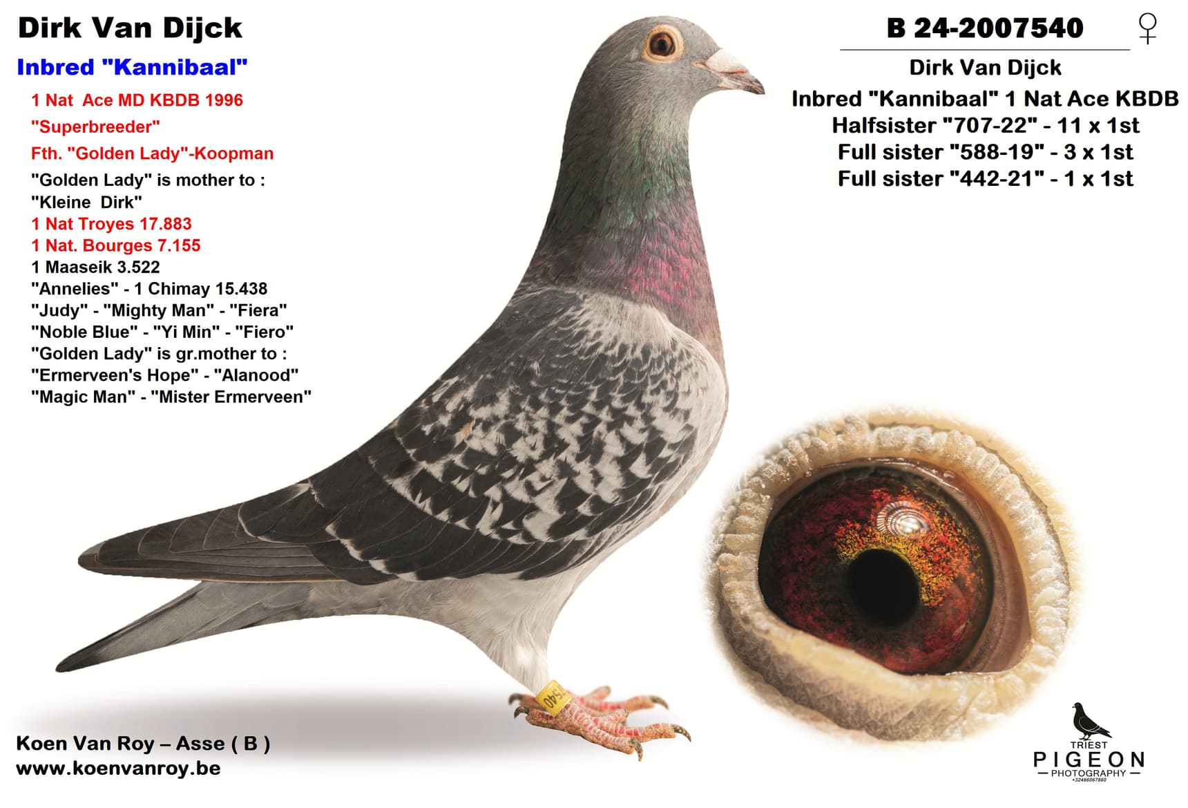 Dirk Van Dijck  Inbred "Kannibaal"