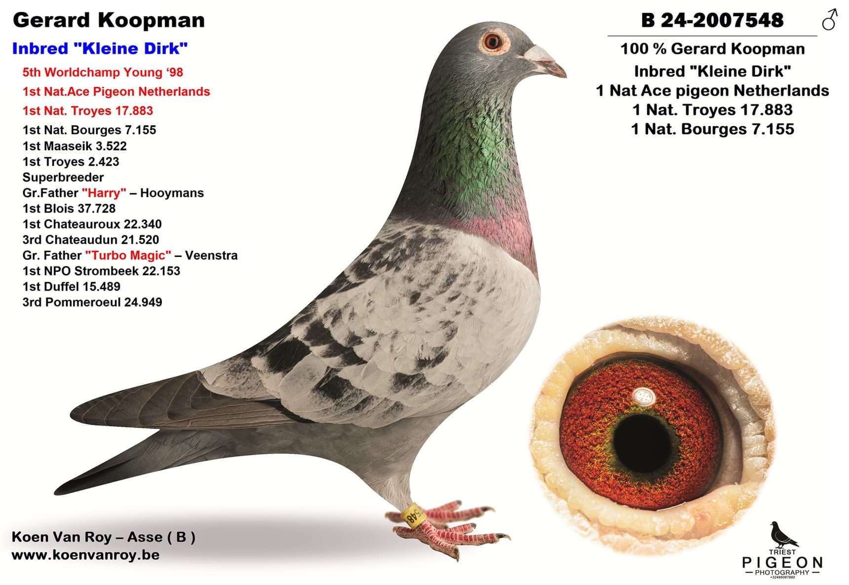 Gerard Koopman  Inbred "Kleine Dirk"