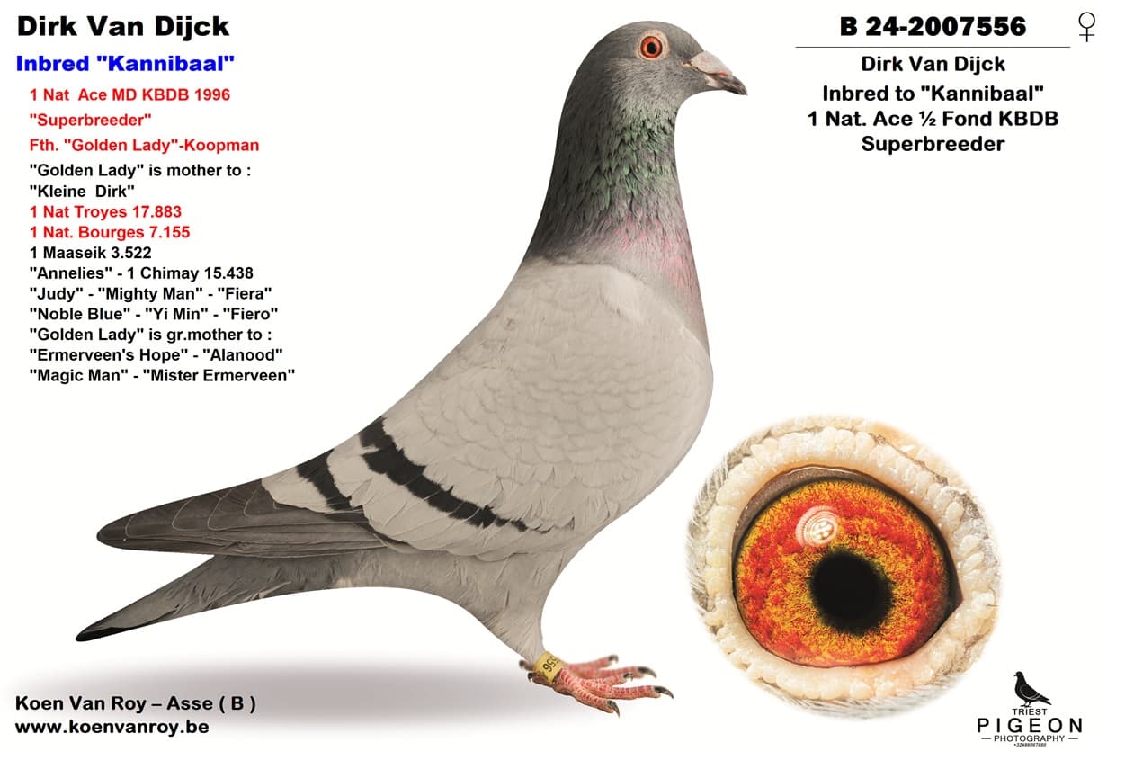 Inbred ‘Kannibaal’