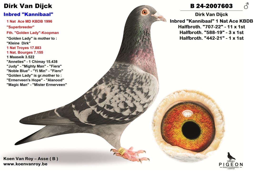 Dirk Van Dijck  Inbred "Kannibaal"