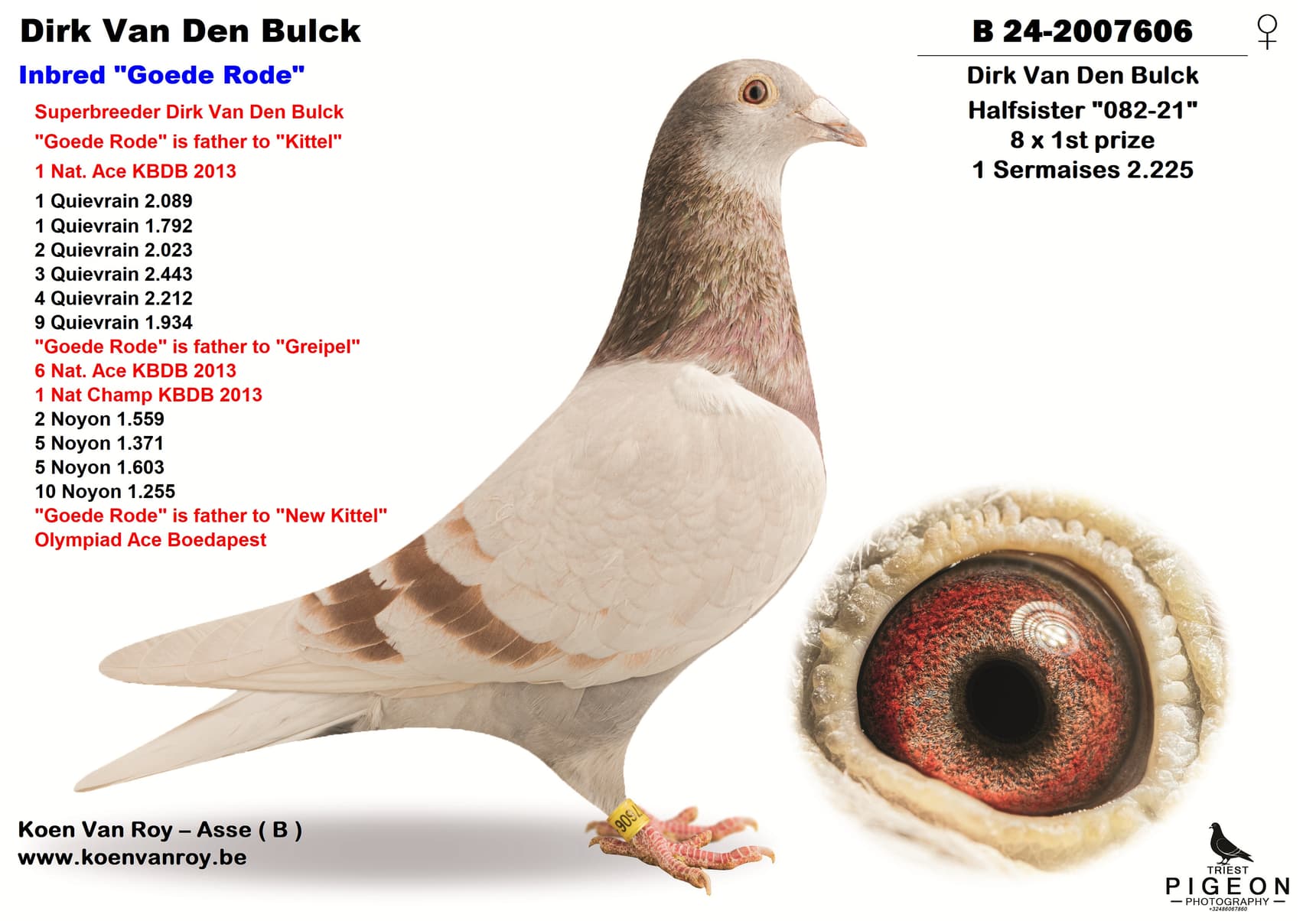 Dirk Van Den Bulck  Inbred "Goede Rode"