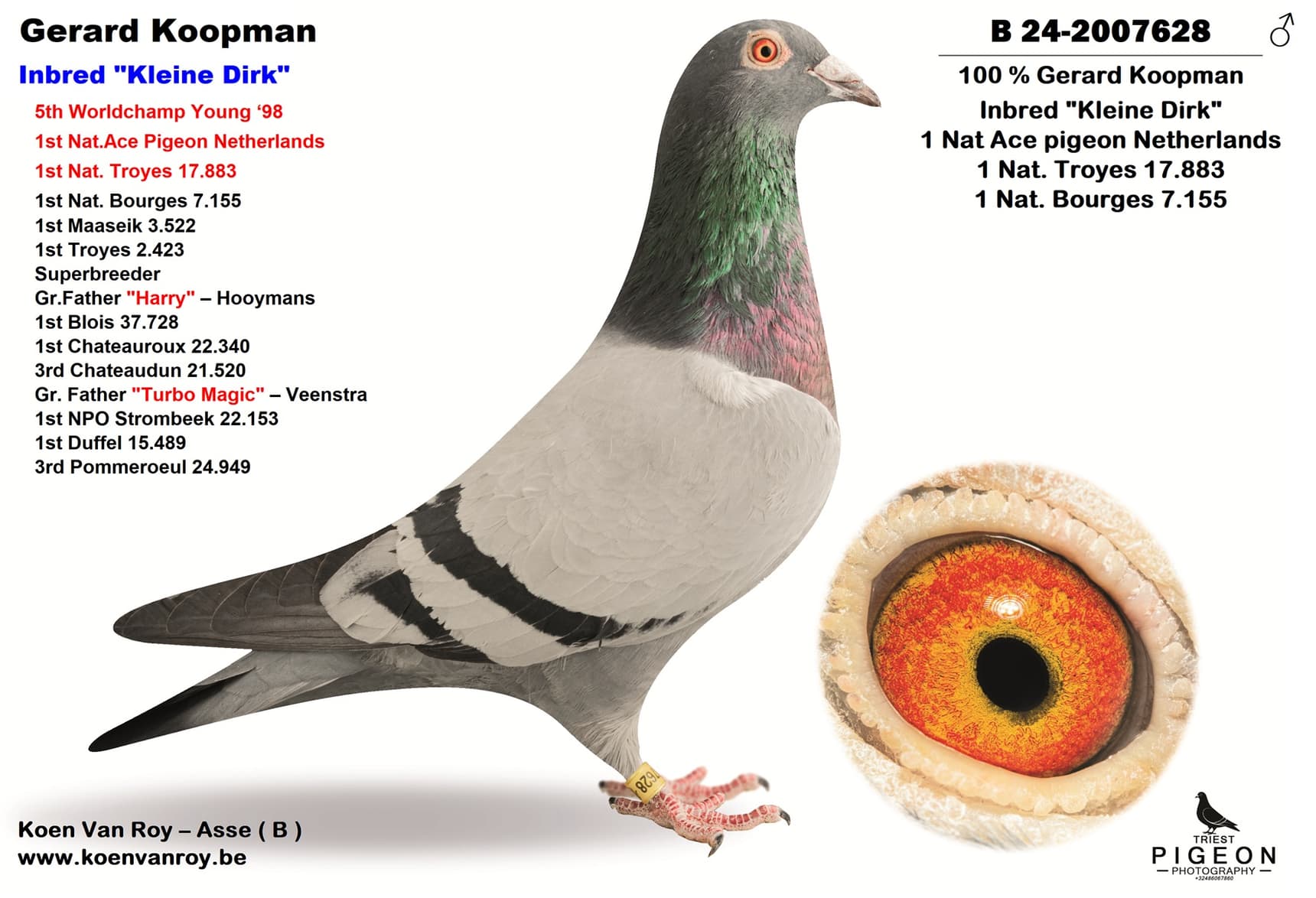 Gerard Koopman  Inbred "Kleine Dirk"