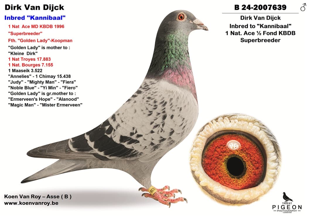 Dirk Van Dijck  Inbred "Kannibaal"