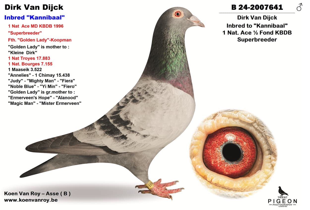 Inbred ‘Kannibaal 199’ x ‘Kannibaal 908’